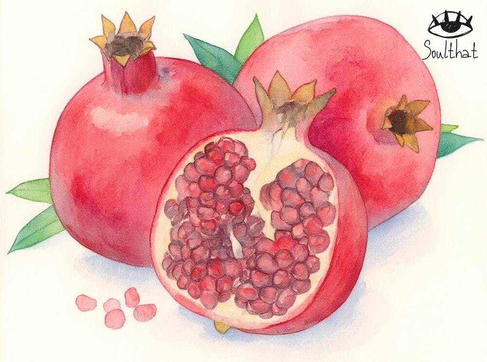 Can you eat pomegranate seeds or not ? Here are the surprising facts Pomegranate Seeds
