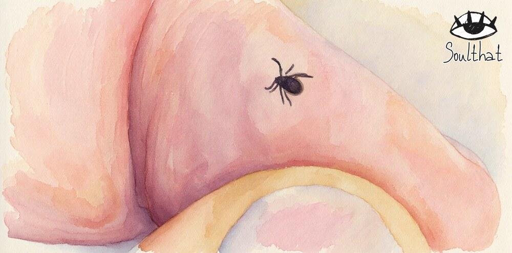 Want zero tick bites? Do this before you go outside.